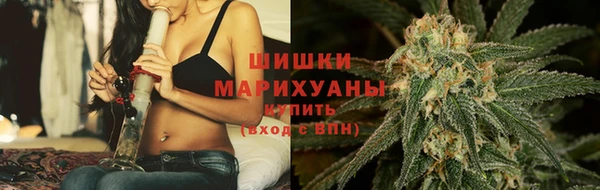 прущий лед Бородино