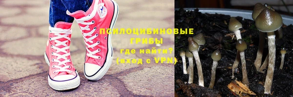 прущий лед Бородино