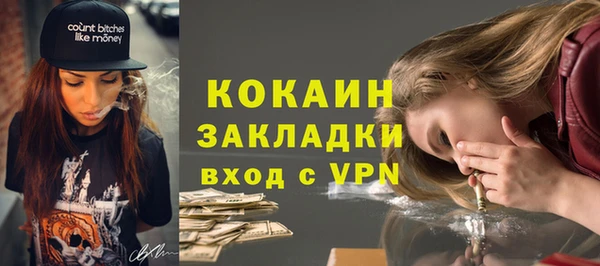 прущий лед Бородино