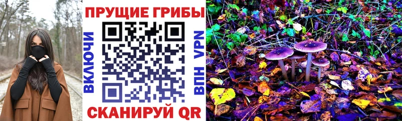 кракен ONION Горно-Алтайск Галлюциногенные грибы мицелий даркнет Telegram цена наркотик